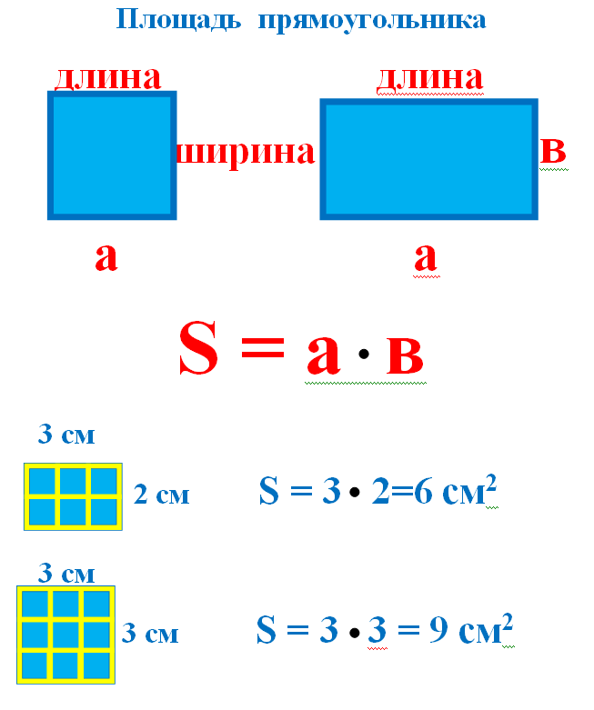 2 класс математика периметр прямоугольника конспект. Чему равна площадь прямоугольника правило. Формула нахождения площади прямоугольника 2 класс. Схема нахождения площади прямоугольника 3 класс. Площадь прямоугольника рисунок и формула.
