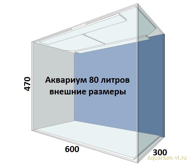 Ширин аквариума. Аквариум 80 литров Размеры. Аквариум 80 литров габариты. Размер аквариума на 80 литров габариты. Размер аквариума на 80 литров прямоугольный габариты.